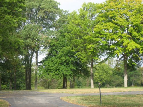 Property photo 11 - 80 Acres Offered in 4 Tracts - Horse Farm